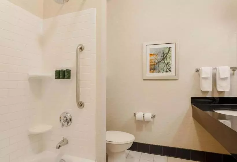 ホテル Fairfield Inn & Suites Tampa Fairgrounds/casino