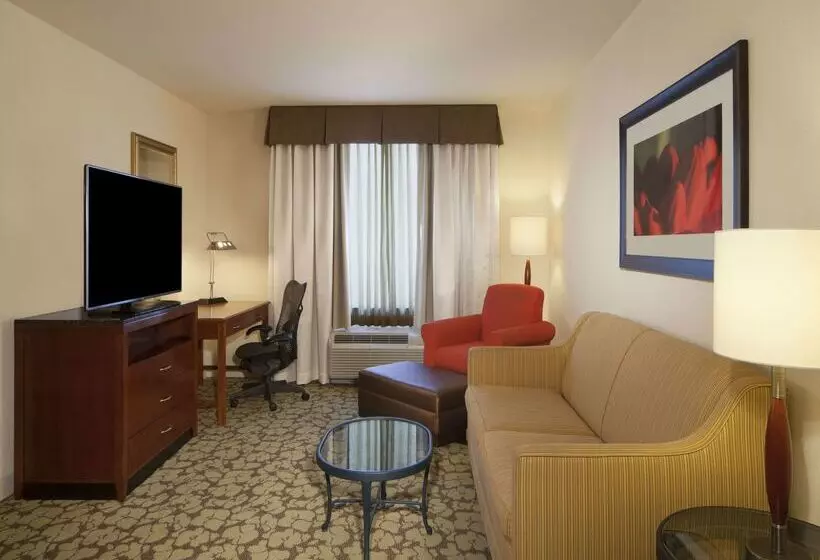 هتل Hilton Garden Inn Virginia Beach Town Center