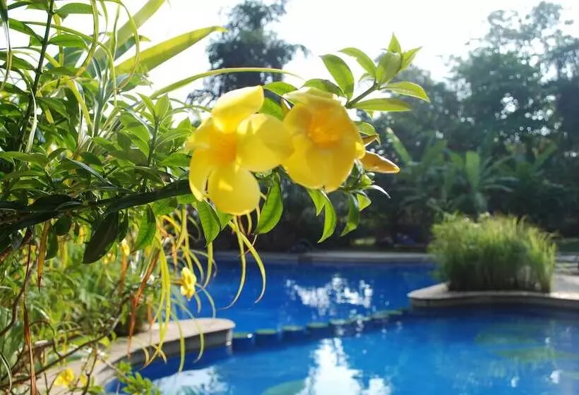 ホテル Laguna Anjuna