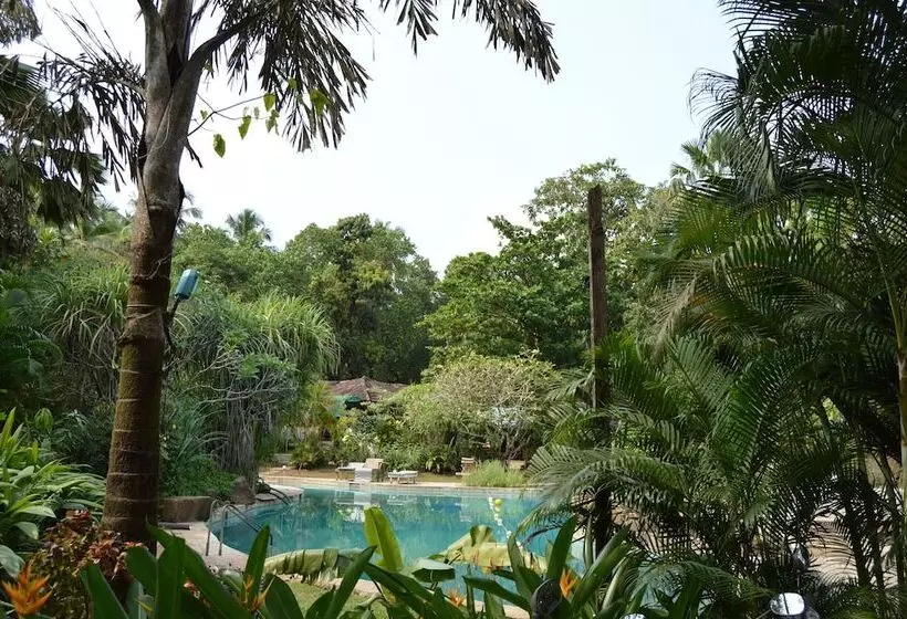 ホテル Laguna Anjuna