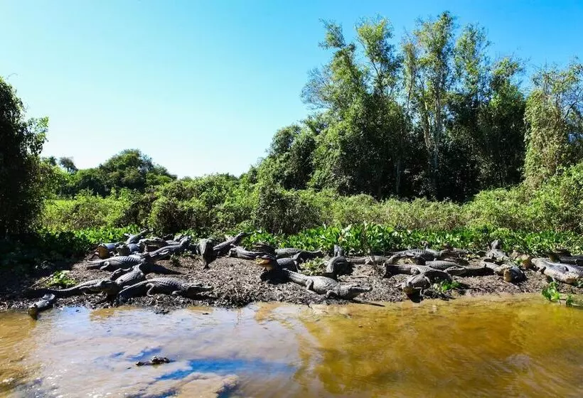 Отель Pantanal Mato Grosso