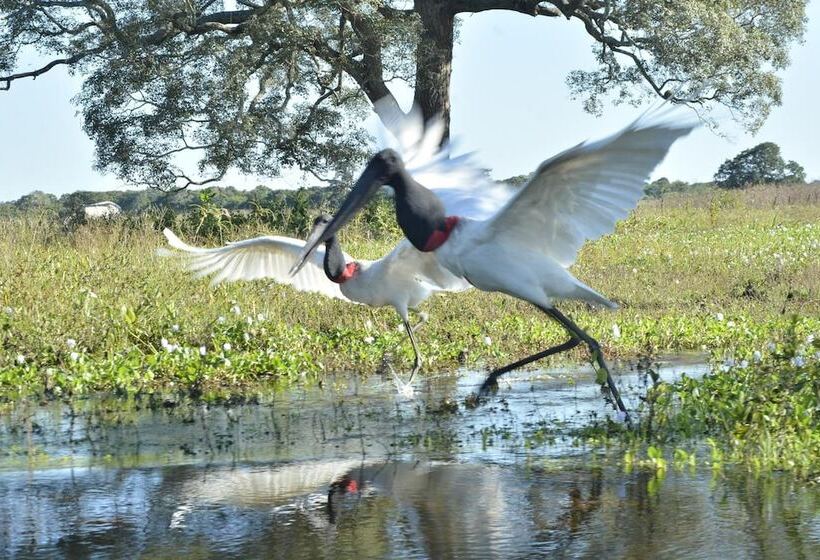 فندق Pantanal Mato Grosso