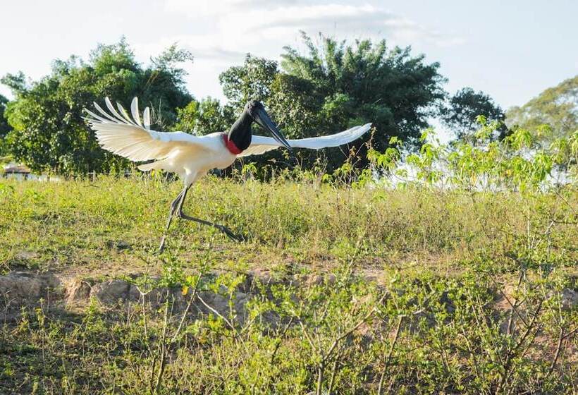 فندق Pantanal Mato Grosso