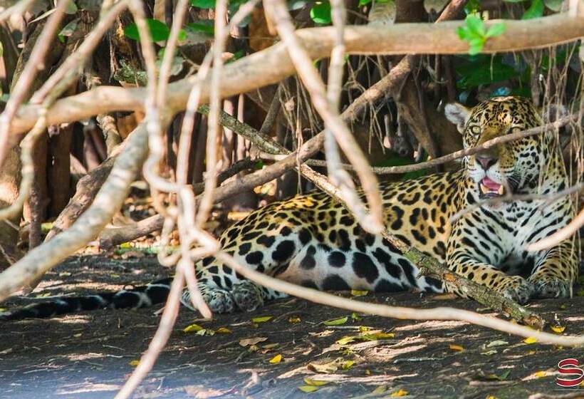 فندق Pantanal Mato Grosso