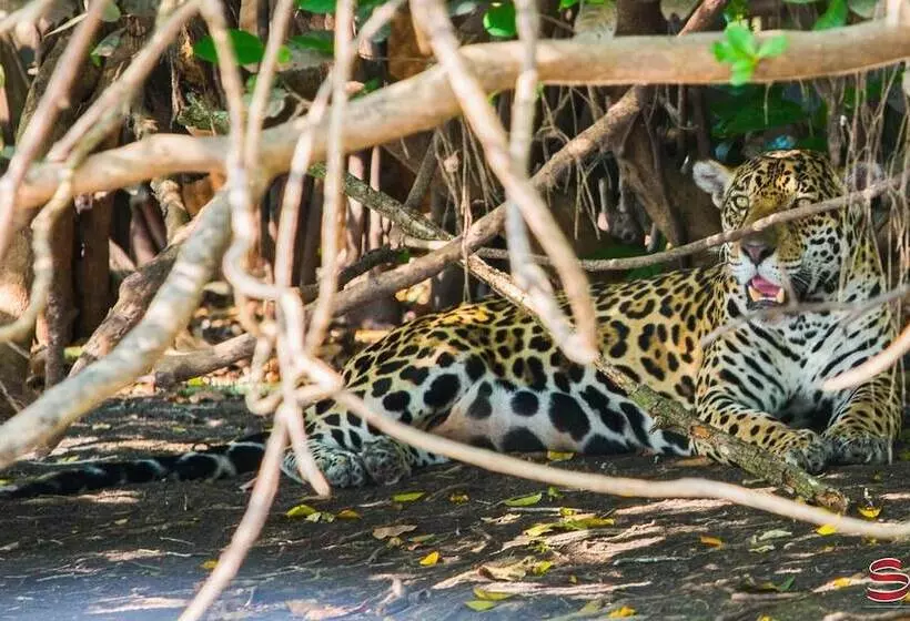 Отель Pantanal Mato Grosso