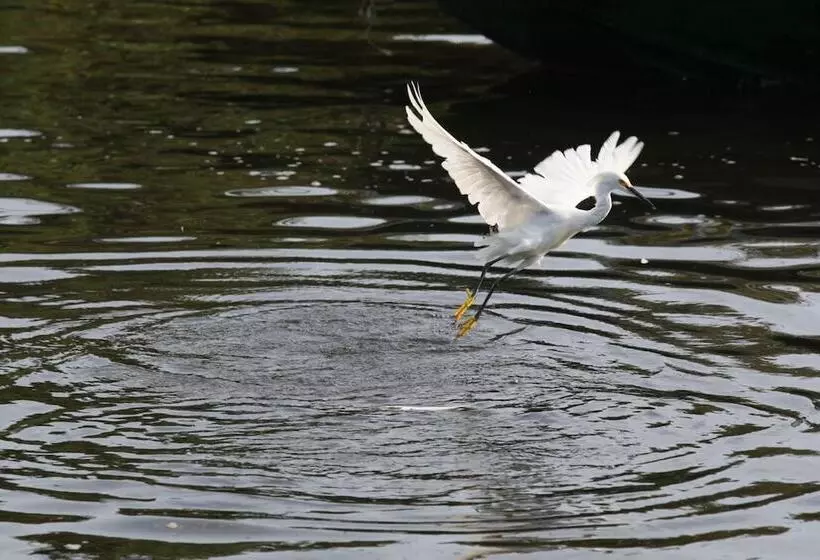 Отель Pantanal Mato Grosso