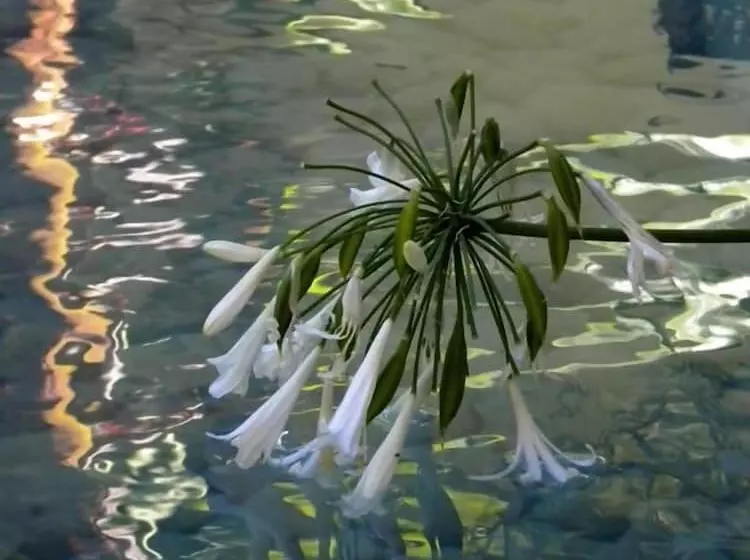 호텔 Spirit Of The Knights Boutique