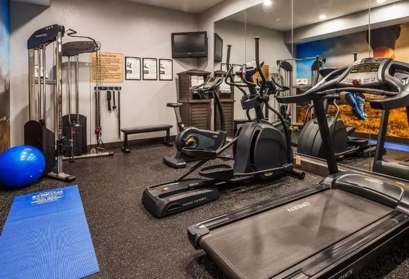 Best Western Plus Barsana Hotel & Suites