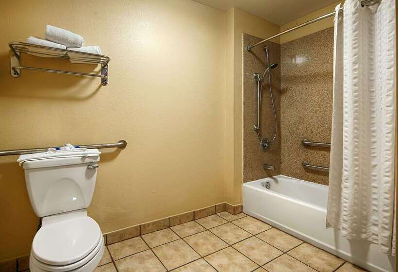 Best Western Windsor Pointe Hotel & Suites Frost Bank Center