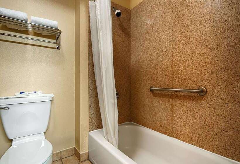 Best Western Windsor Pointe Hotel & Suites Frost Bank Center