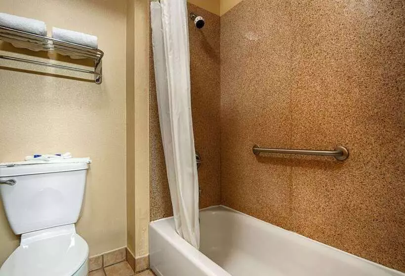 Best Western Windsor Pointe Hotel & Suites Frost Bank Center