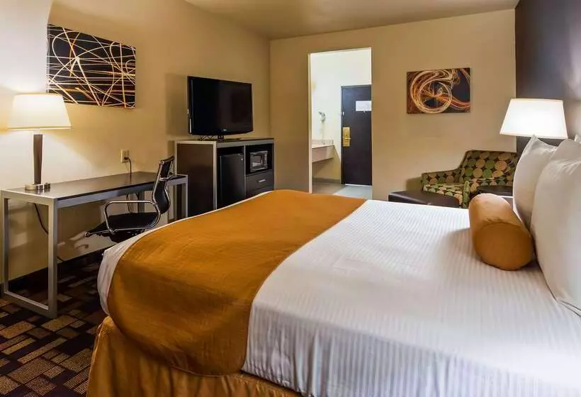 Best Western Windsor Pointe Hotel & Suites Frost Bank Center