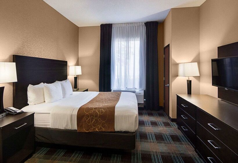 فندق Comfort Suites Houston West At Clay Road