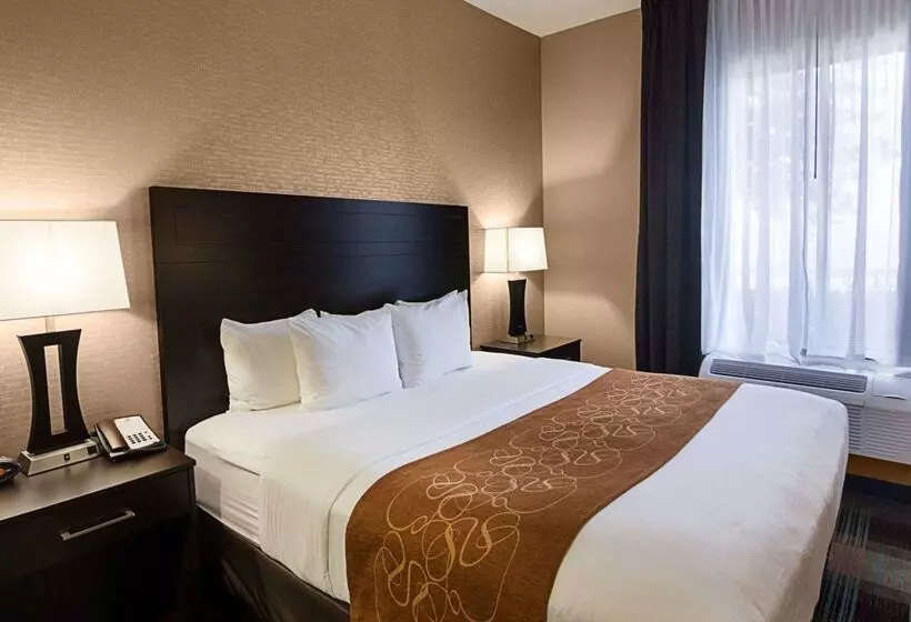 Szálloda Comfort Suites Houston West At Clay Road