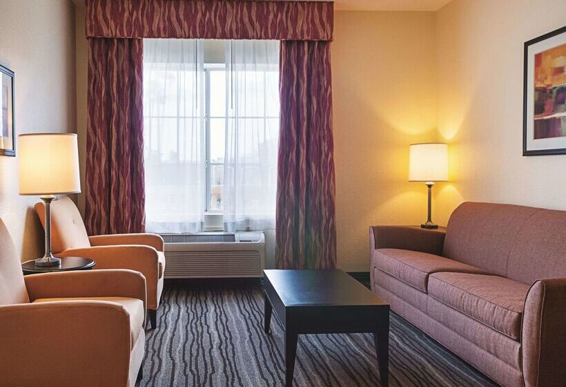 בית מלון כפרי La Quinta Inn & Suites By Wyndham Slidell North Shore Area