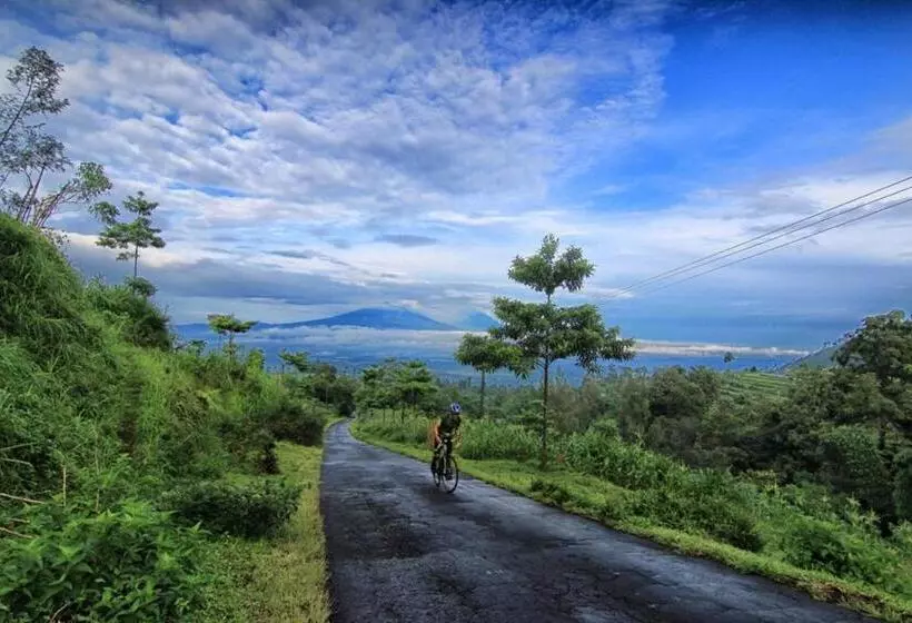 酒店 Mesastila Resort And Spa