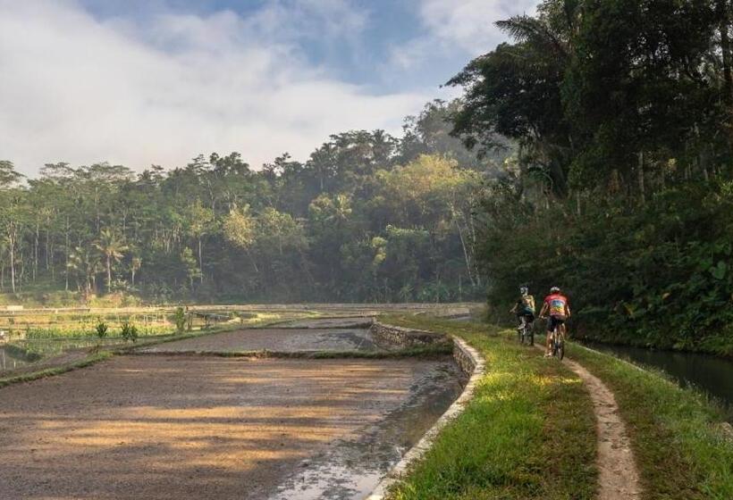 فندق Mesastila Resort And Spa