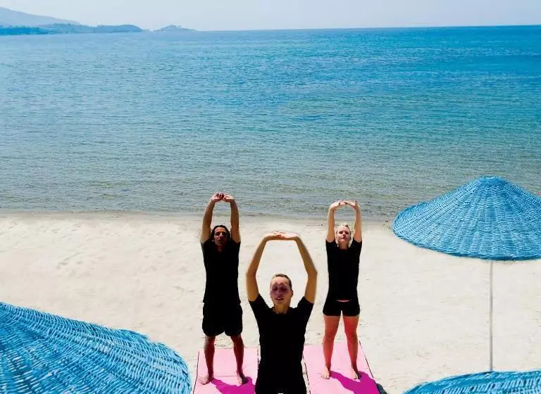 ホテル Paloma Pasha