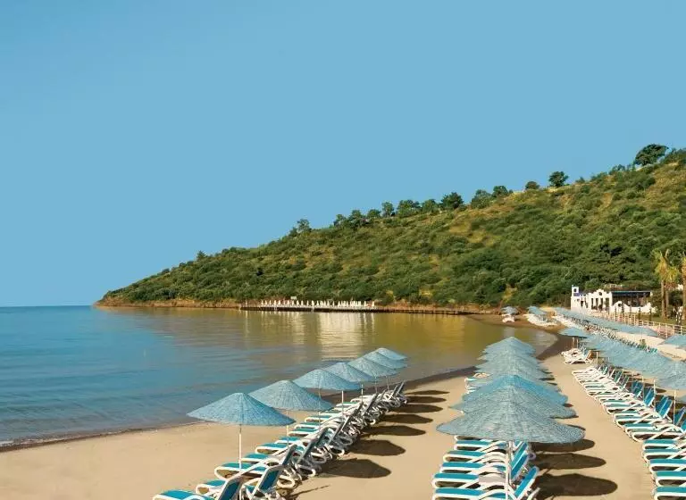 ホテル Paloma Pasha