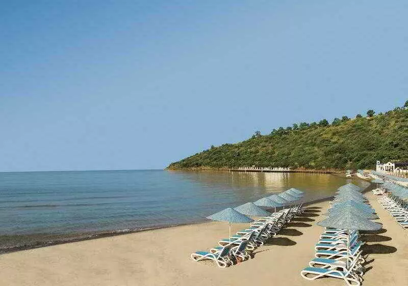 ホテル Paloma Pasha