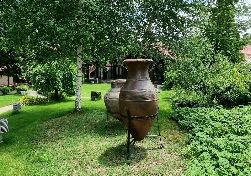 בית מלון כפרי Pirin