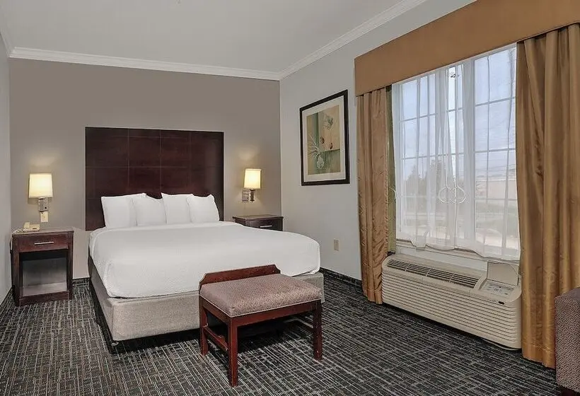 ホテル Sonesta Essential Houston Westchase