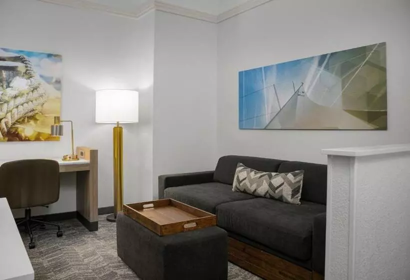 هتل Springhill Suites By Marriott Annapolis