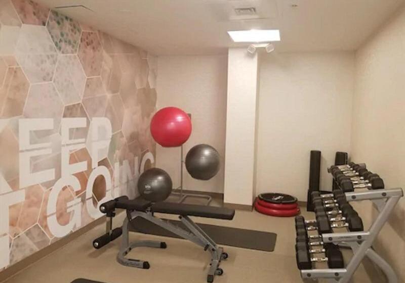 בית מלון כפרי Springhill Suites By Marriott Naples