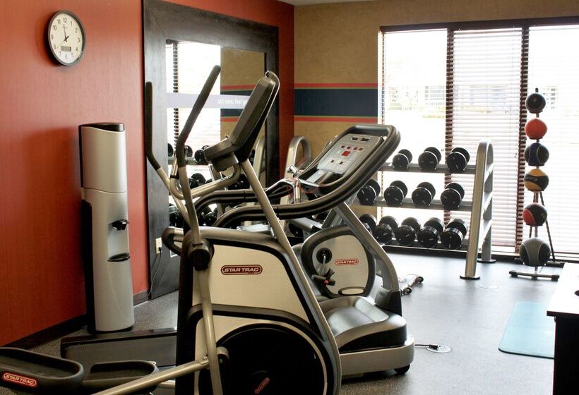 Hampton Inn & Suites Dallas Arlington N Entertainment Dist