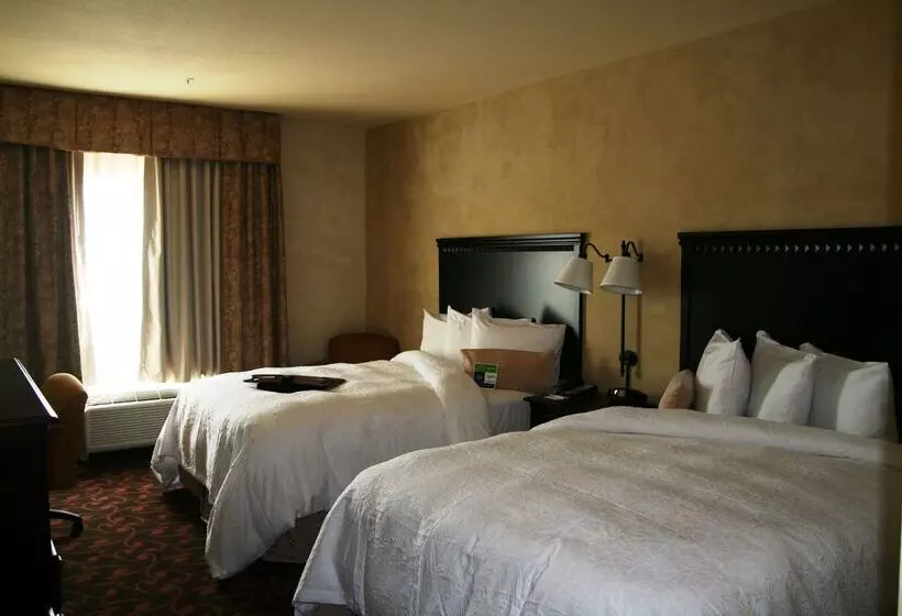 Hampton Inn & Suites Dallas Arlington N Entertainment Dist