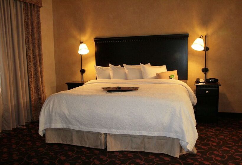 Hampton Inn & Suites Dallas Arlington N Entertainment Dist