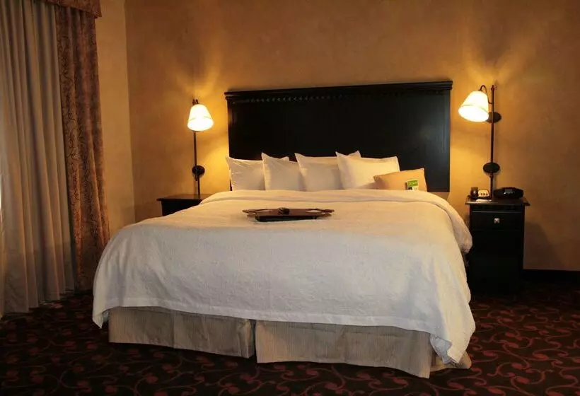 Hampton Inn & Suites Dallas Arlington N Entertainment Dist