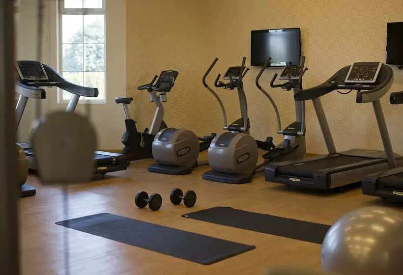 Al Aziziyah Boutique Hotel By The Torch