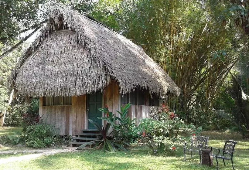 هتل Creekside Oasis