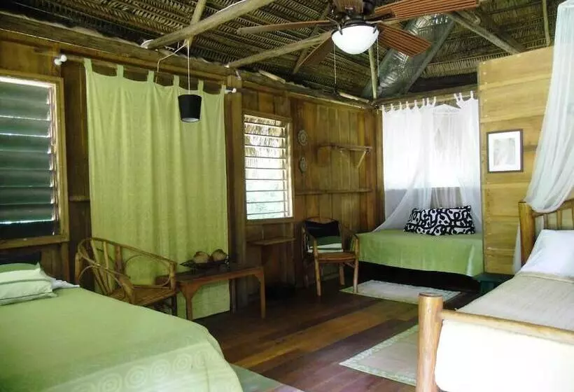 هتل Creekside Oasis