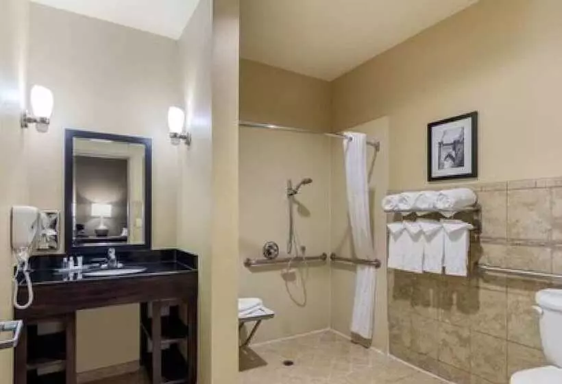 酒店 Comfort Suites Near City Of Industry  Los Angeles