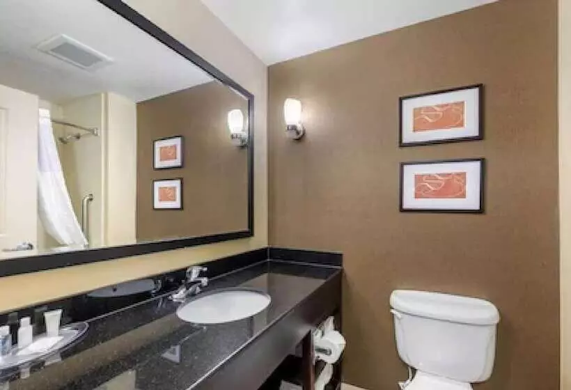 酒店 Comfort Suites Near City Of Industry  Los Angeles