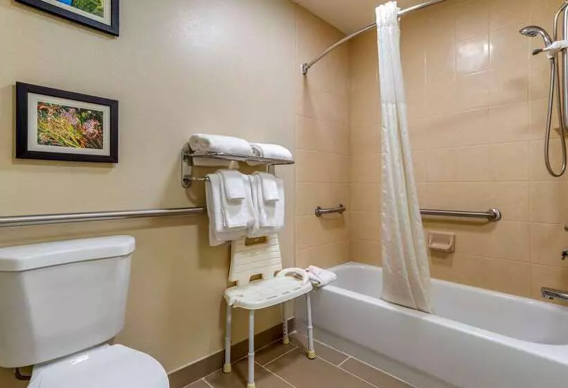Отель Comfort Suites Niceville Near Eglin Air Force Base