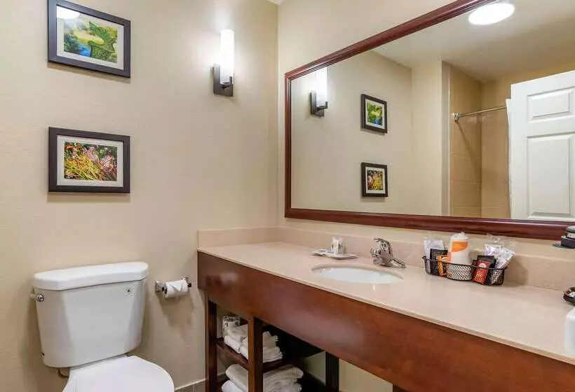 Отель Comfort Suites Niceville Near Eglin Air Force Base