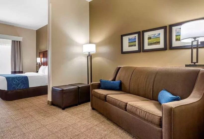 Отель Comfort Suites Niceville Near Eglin Air Force Base