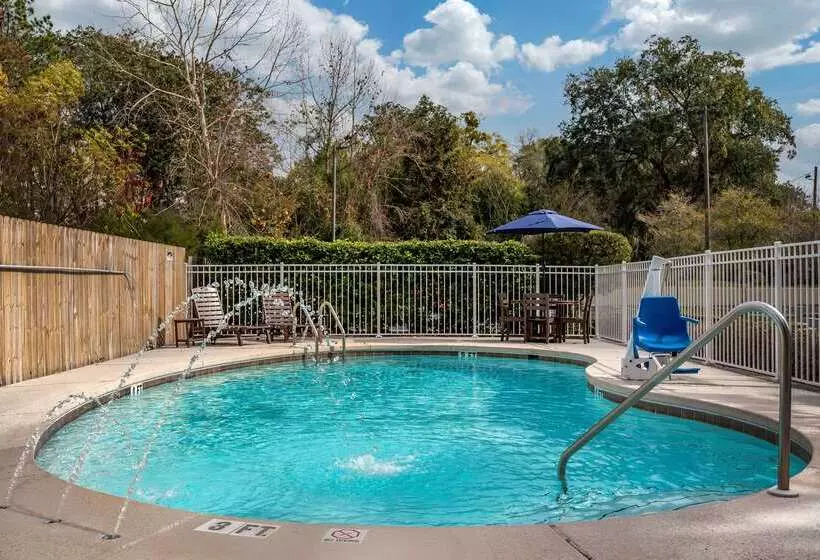 Отель Comfort Suites Niceville Near Eglin Air Force Base