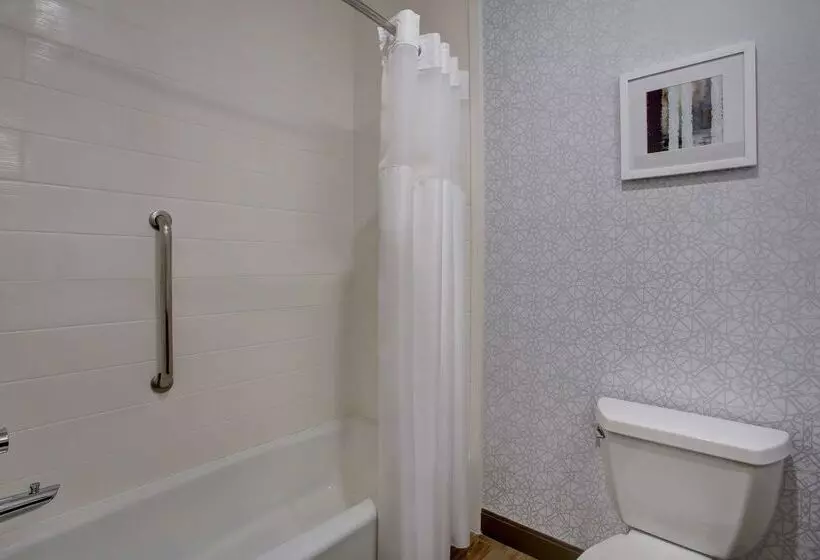 Hotelli Hampton Inn & Suites Dallas Desoto