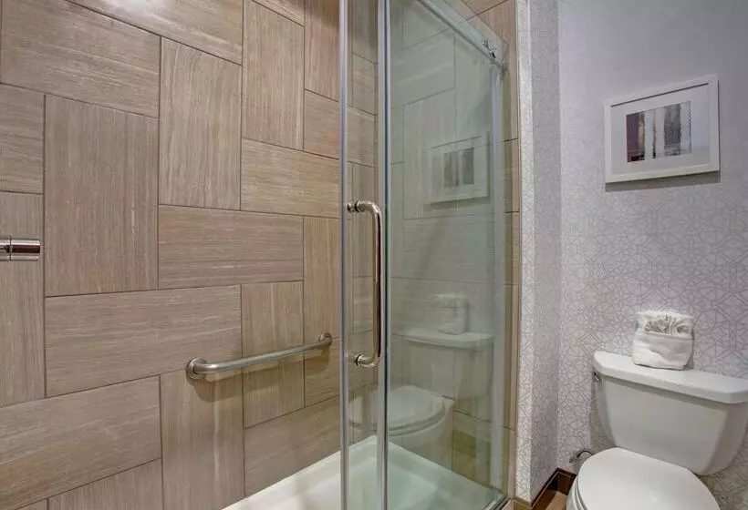 Hotelli Hampton Inn & Suites Dallas Desoto