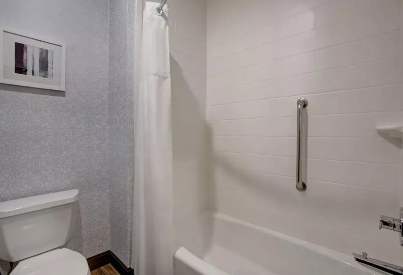 Hotelli Hampton Inn & Suites Dallas Desoto