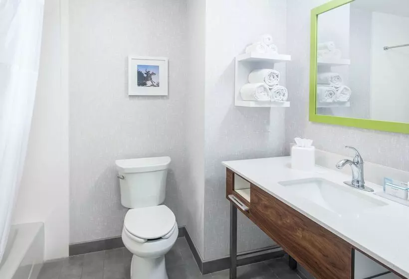 酒店 Hampton Inn & Suites Lubbock Southwest