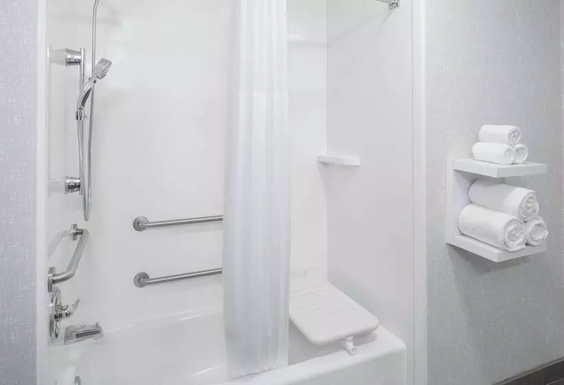 酒店 Hampton Inn & Suites Lubbock Southwest