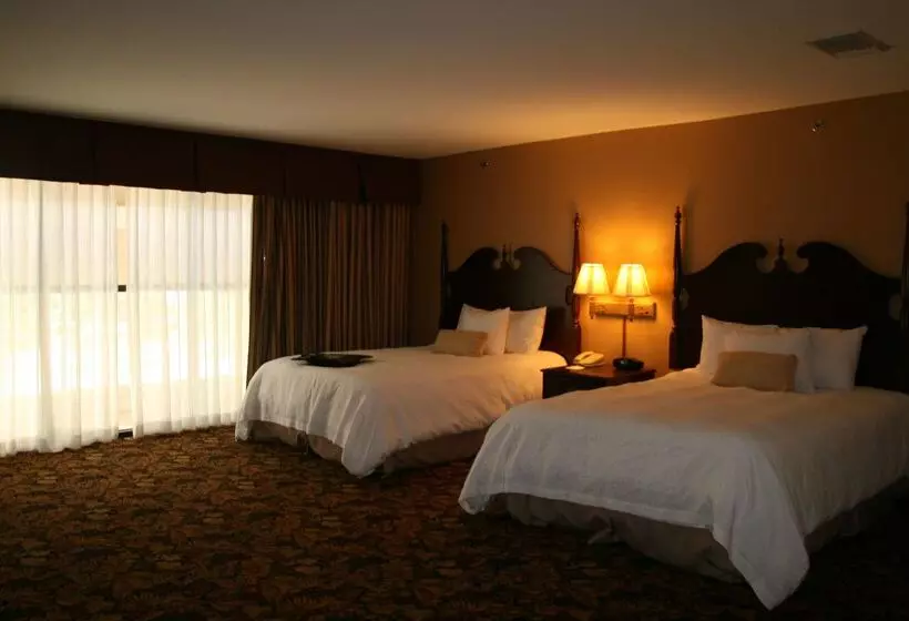 فندق Hampton Inn & Suites Del Rio, Tx