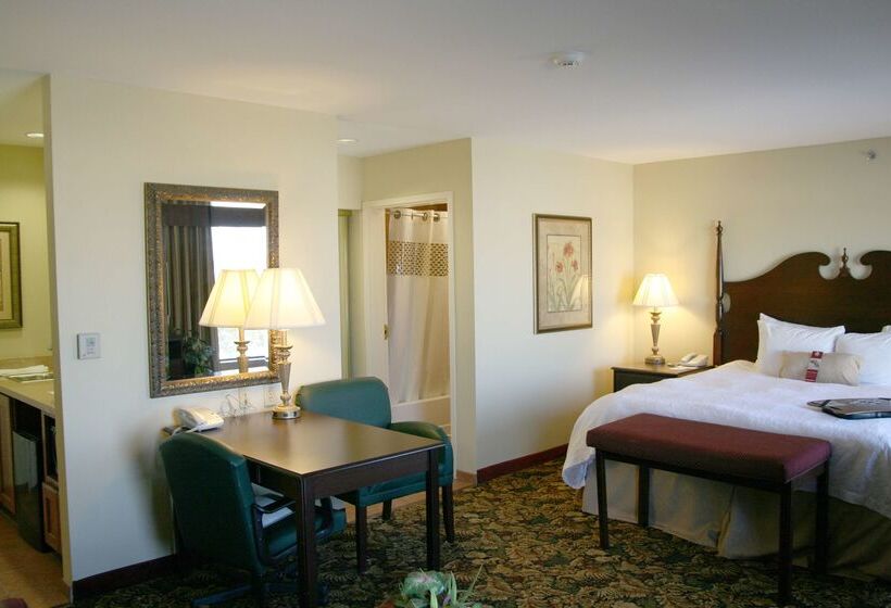 酒店 Hampton Inn & Suites Del Rio, Tx