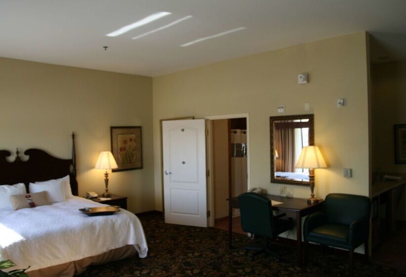 酒店 Hampton Inn & Suites Del Rio, Tx