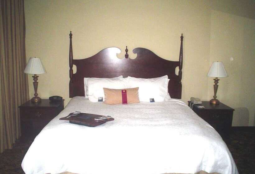 酒店 Hampton Inn & Suites Del Rio, Tx